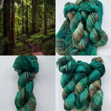Load image into Gallery viewer, Sequoia Sempervirens